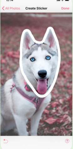 抖音摳圖人頭的軟件是什么？摳圖軟件介紹