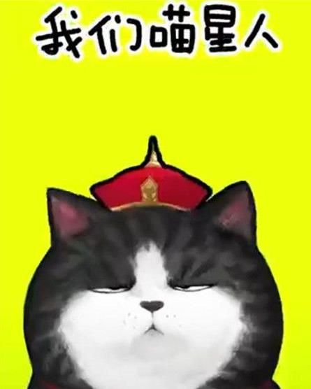 抖音我們喵星人是什么歌？抖音我們喵星人就是辣么拽歌詞分享