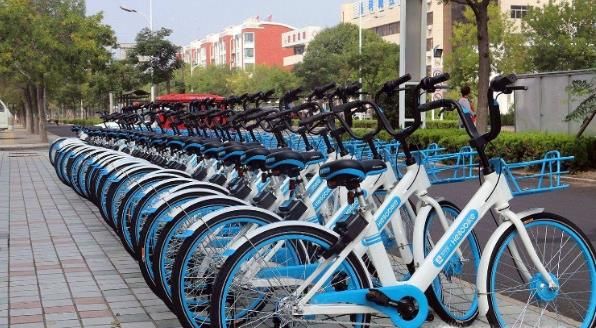 哈羅單車怎么舉報