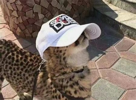 2018愚人節搞笑圖片大全 2018愚人節朋友圈說說搞笑圖片分享