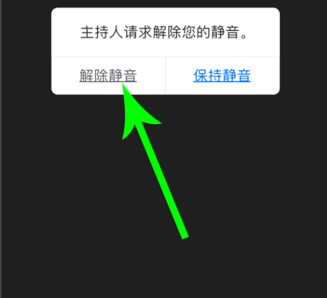 騰訊會議怎么靜音詳情