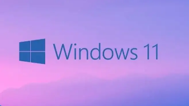 為什么Win11沙盒無(wú)法初始化