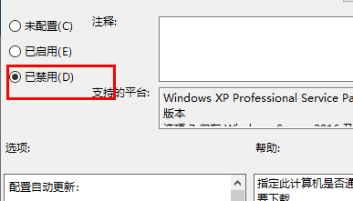 win11禁止自動更新