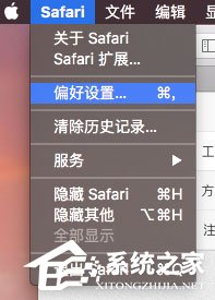 MAC系統(tǒng)Safari搜索欄無(wú)法搜索怎么解決？