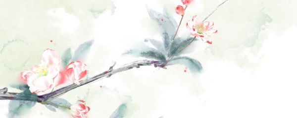 比較有寓意的微信號 比較有寓意的微信號推薦