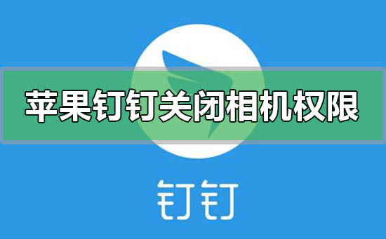 蘋果釘釘怎么關閉攝像頭相機權限