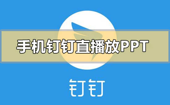 手機釘釘直播怎樣放ppt
