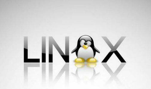Linux是什么？它是哪個國家開發的