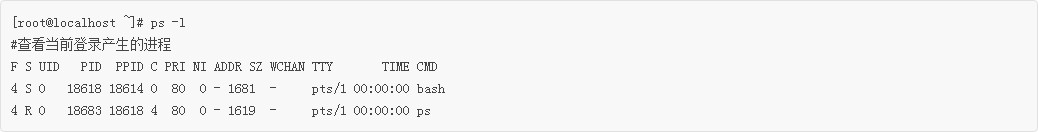 Linux新手入門：PS命令查看正在運行的進程