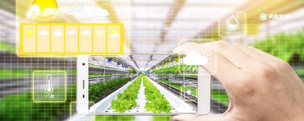 騰訊視頻hd和騰訊視頻有什么區別 騰訊視頻HD和騰訊視頻的區別