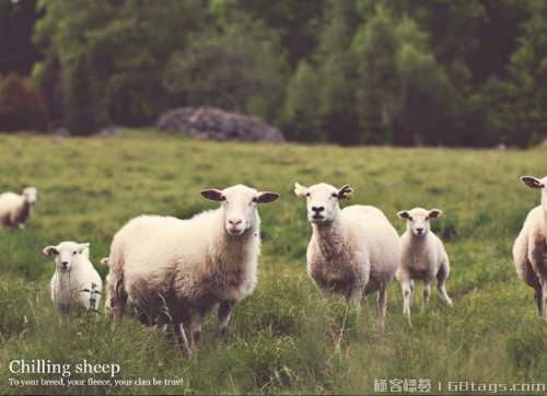 2014年最酷的30個(gè)JavaScript庫