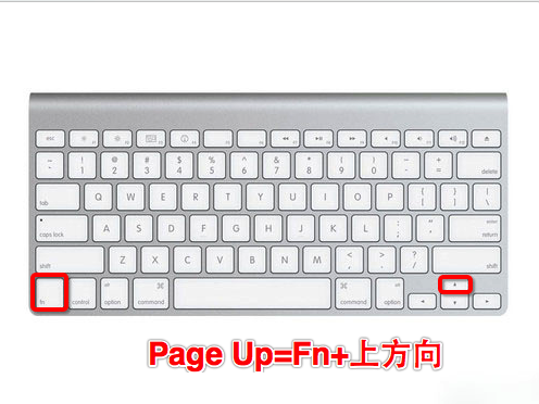 MacOS的Fn鍵有什么用？MacOS中Fn鍵的使用方法