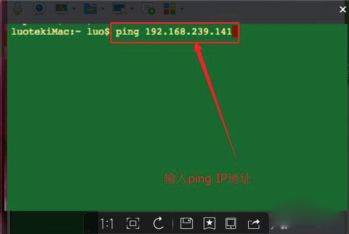 MacOS中如何使用ping命令？MacOS中ping命令的使用方法