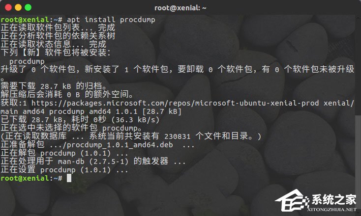 Linux系統(tǒng)如何安裝使用ProcDump for Linux？