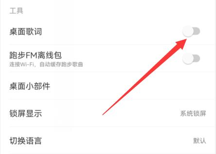 網(wǎng)易云音樂(lè)顯示歌詞在手機(jī)屏幕教程