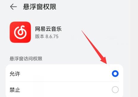 網(wǎng)易云音樂(lè)顯示歌詞在手機(jī)屏幕教程