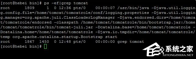 Linux系統(tǒng)如何查看和結(jié)束進(jìn)程？