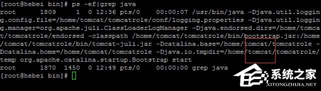 Linux系統(tǒng)如何查看和結(jié)束進(jìn)程？