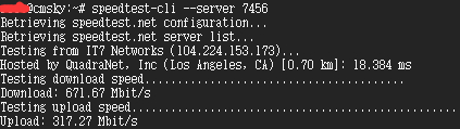 Speedtest測速怎么看？Linux Speedtest測試方法