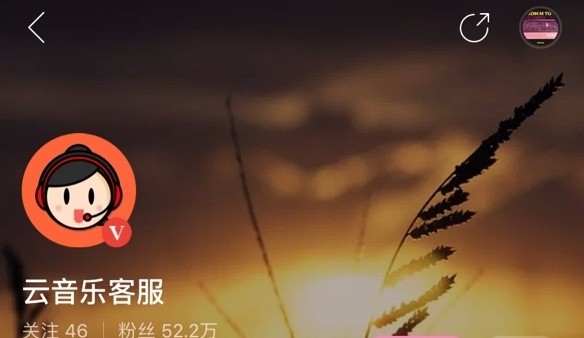 網(wǎng)易云音樂一起聽歌功能開啟方法