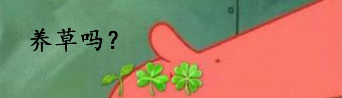qq養(yǎng)草是什么意思？