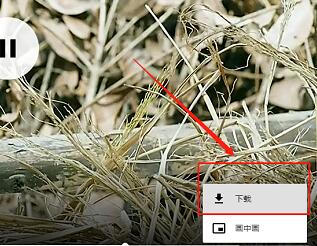 抖音電腦版視頻下載教程
