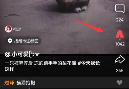 qq小世界的瀏覽歷史查看教程