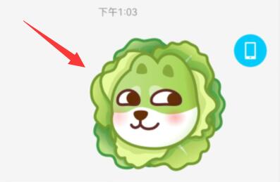 qq超級表情發(fā)送教程