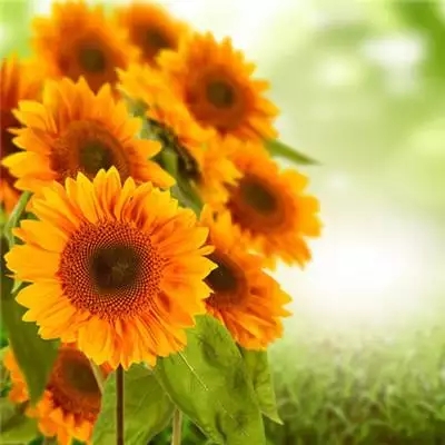 2022最新微信頭像新款大全