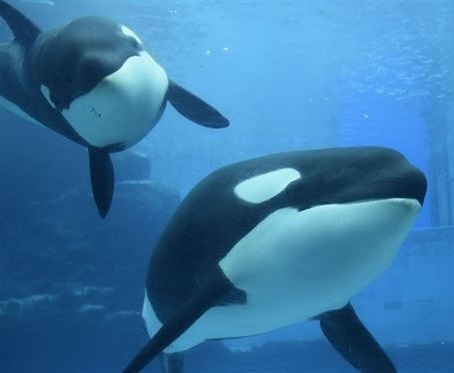 2022最新微信頭像新款大全