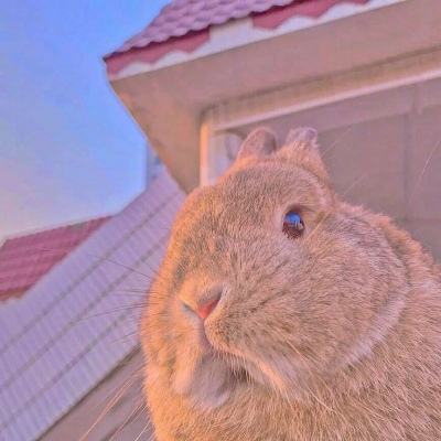 2022最新微信頭像新款大全