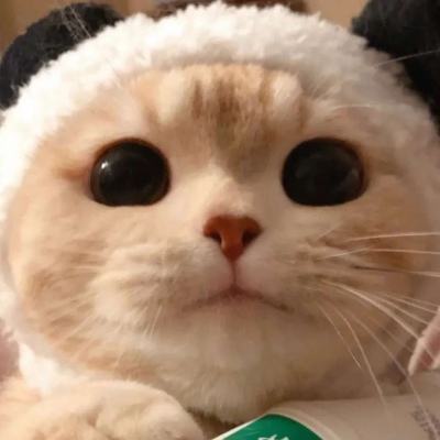 2022最新微信頭像新款大全