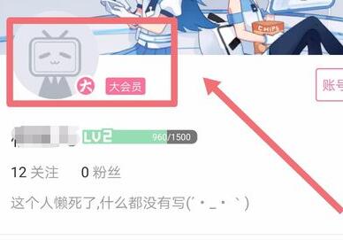 嗶哩嗶哩自動續費關閉方法