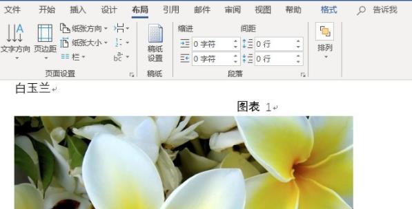 word圖片統一調整大小方法