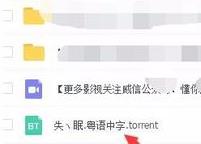 百度網盤怎么播放bt種子文件