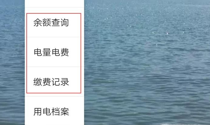 每日每月電費(fèi)明細(xì)怎查詢(xún)，微信怎么查每天用電量