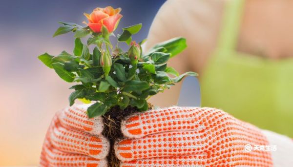 微信名字微信昵稱(chēng) 各種好聽(tīng)的微信名字