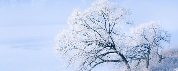 下雪發朋友圈短句 下雪發朋友圈短句有哪些
