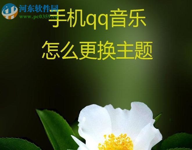 手機qq音樂更換主題風(fēng)格的方法