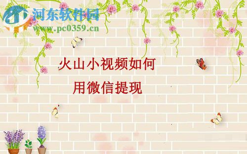 火山小視頻使用微信提現的方法