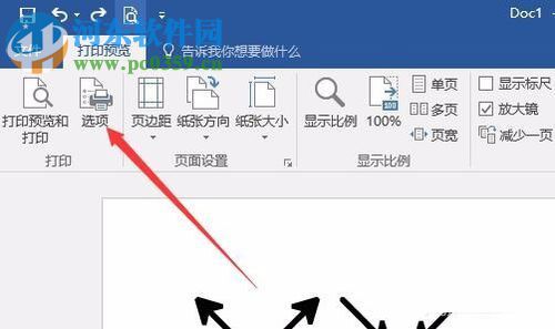 word/Excel文檔設置只打印文字不打印圖片的方法