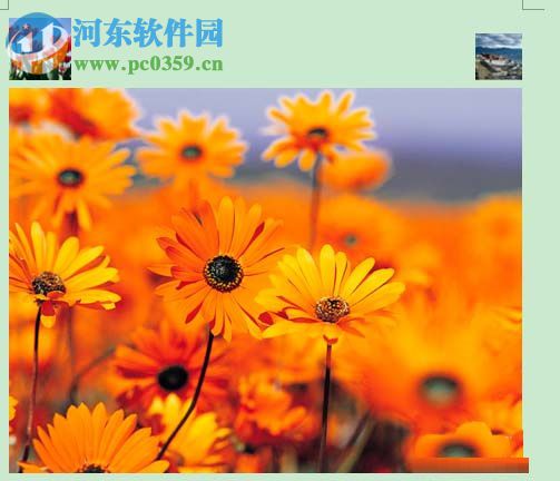 word中圖片并排的方法