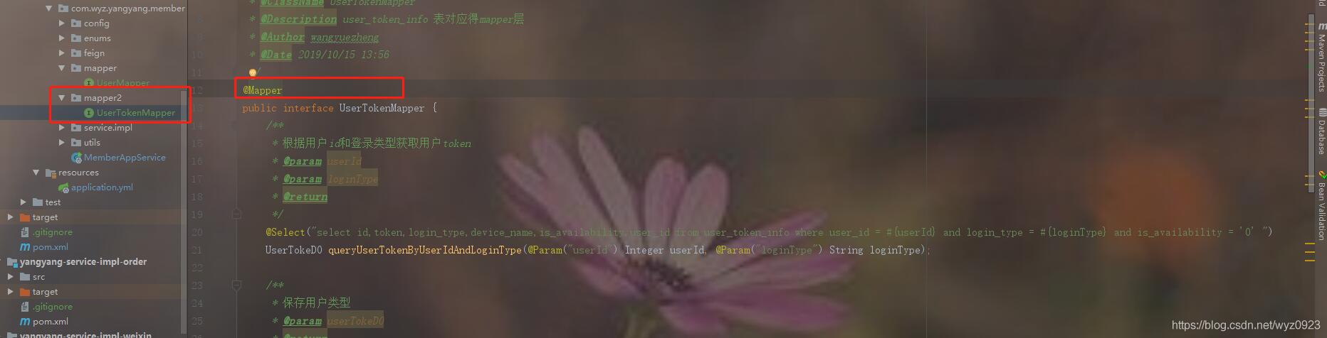 解決Mybatis在IDEA中找不到mapper映射文件的問(wèn)題