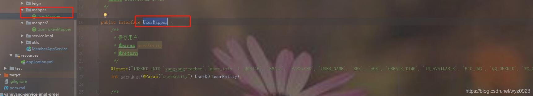 解決Mybatis在IDEA中找不到mapper映射文件的問(wèn)題
