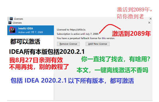 據(jù)說這個是可以擼到2089年的idea2020.2(推薦)