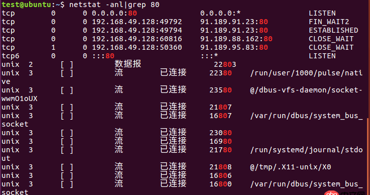 nginx這樣是在運行嗎？