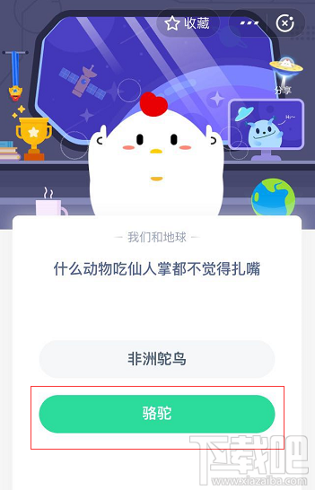 支付寶螞蟻莊園5月25日答案 什么動物吃仙人掌都不覺得扎嘴