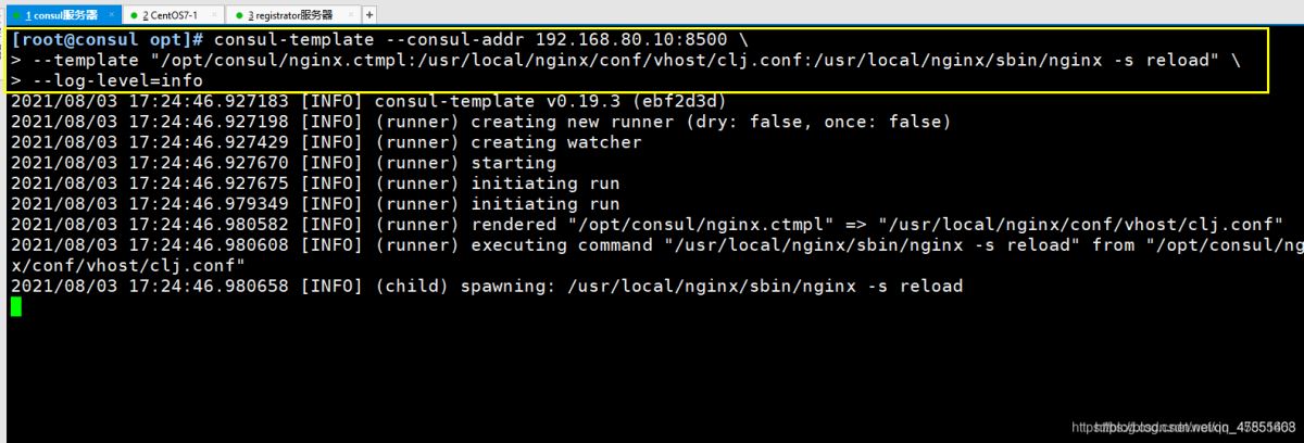Docker consul的容器服務更新與發現的問題小結