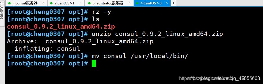 Docker consul的容器服務更新與發現的問題小結