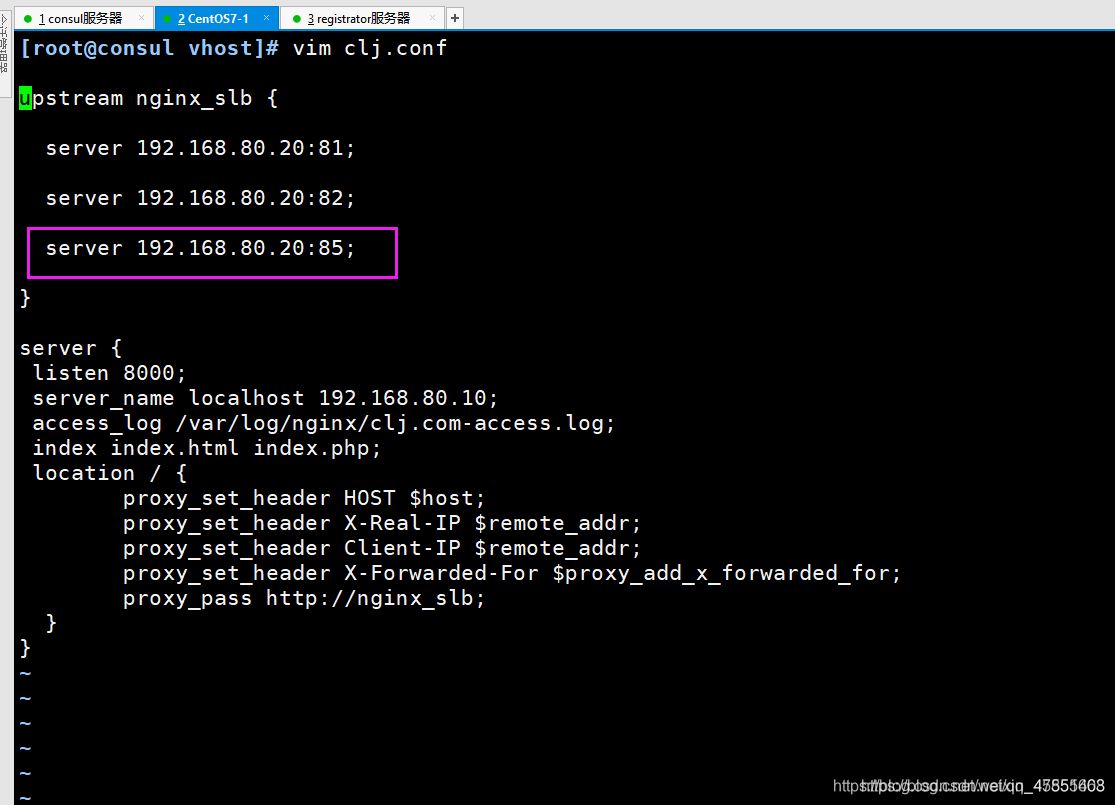 Docker consul的容器服務更新與發現的問題小結